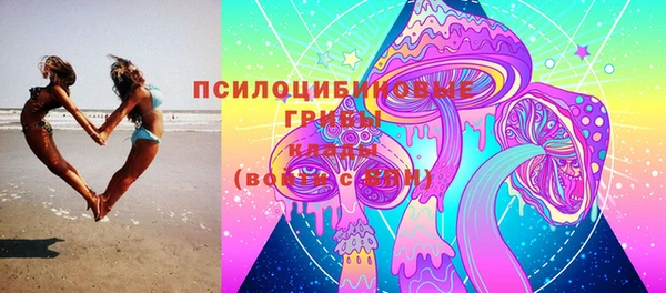 PSILOCYBIN Приозерск