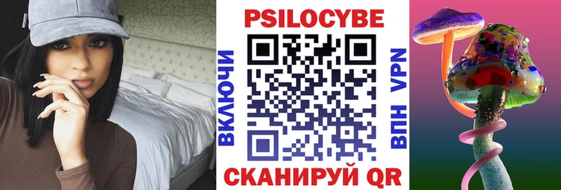 где продают   Костомукша  Псилоцибиновые грибы Psilocybe 